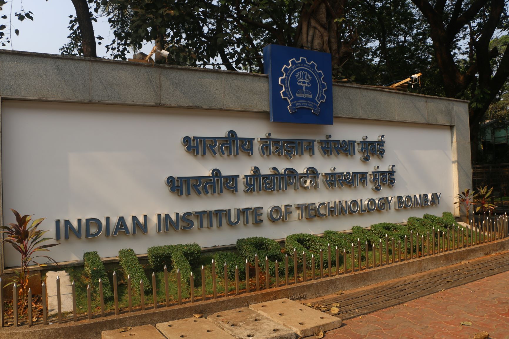 India's strategic investment in tech pays dividends